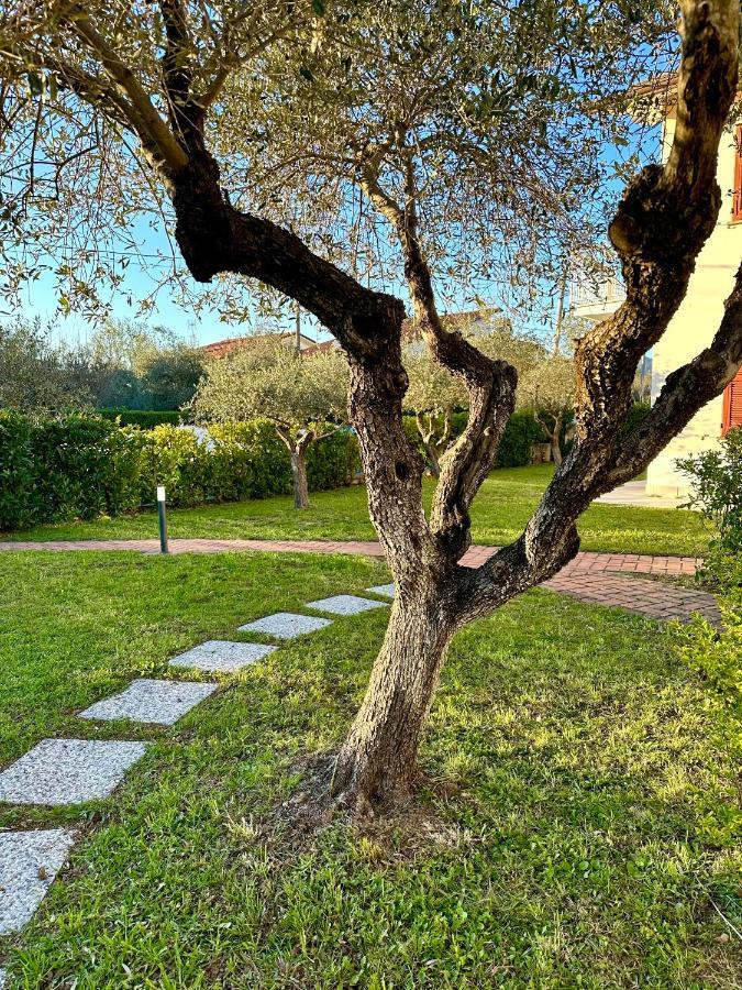 Abitatt Aparthotel Fosdinovo Luaran gambar