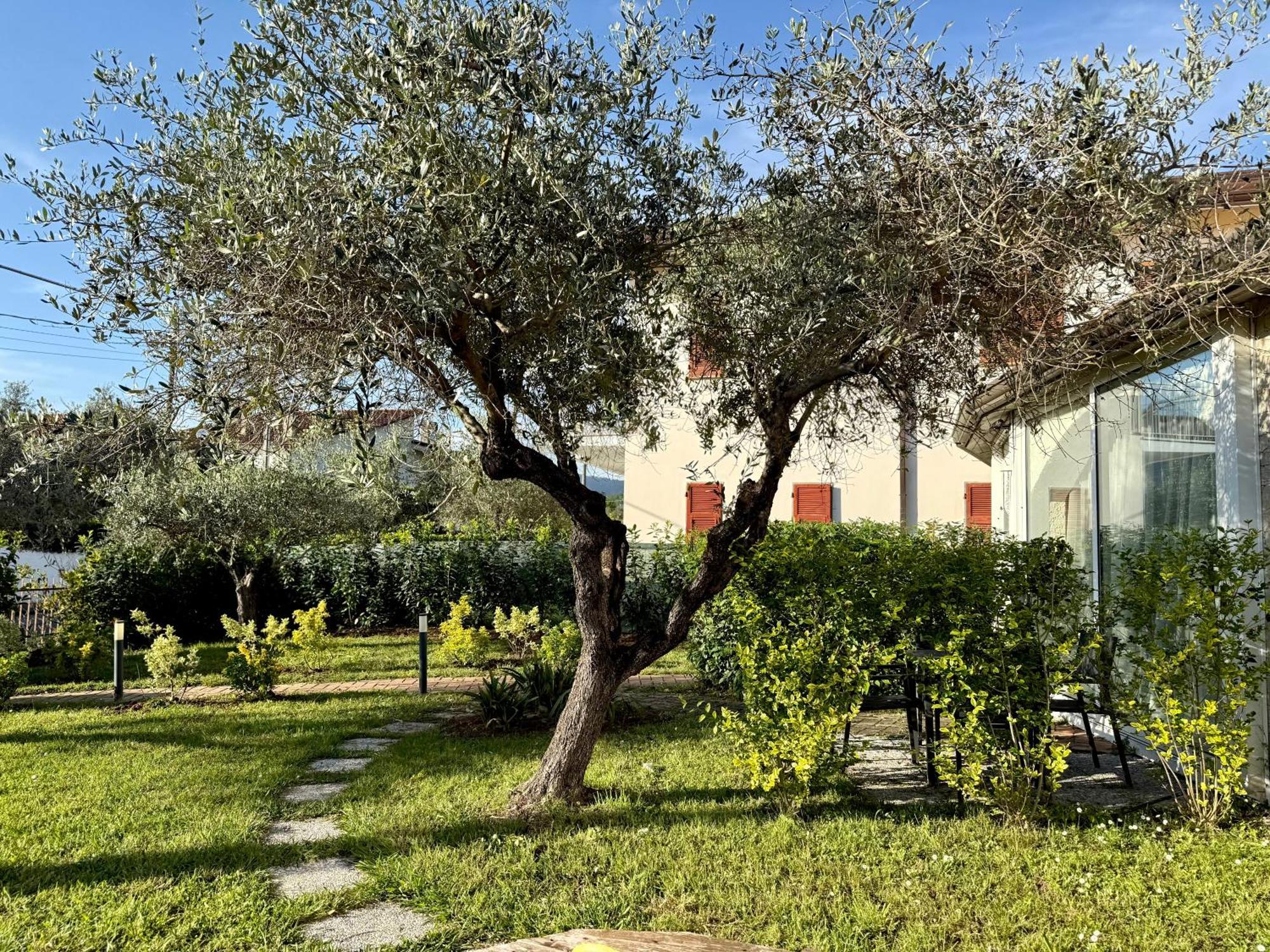 Abitatt Aparthotel Fosdinovo Luaran gambar